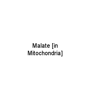 Malate [in Mitochondria]